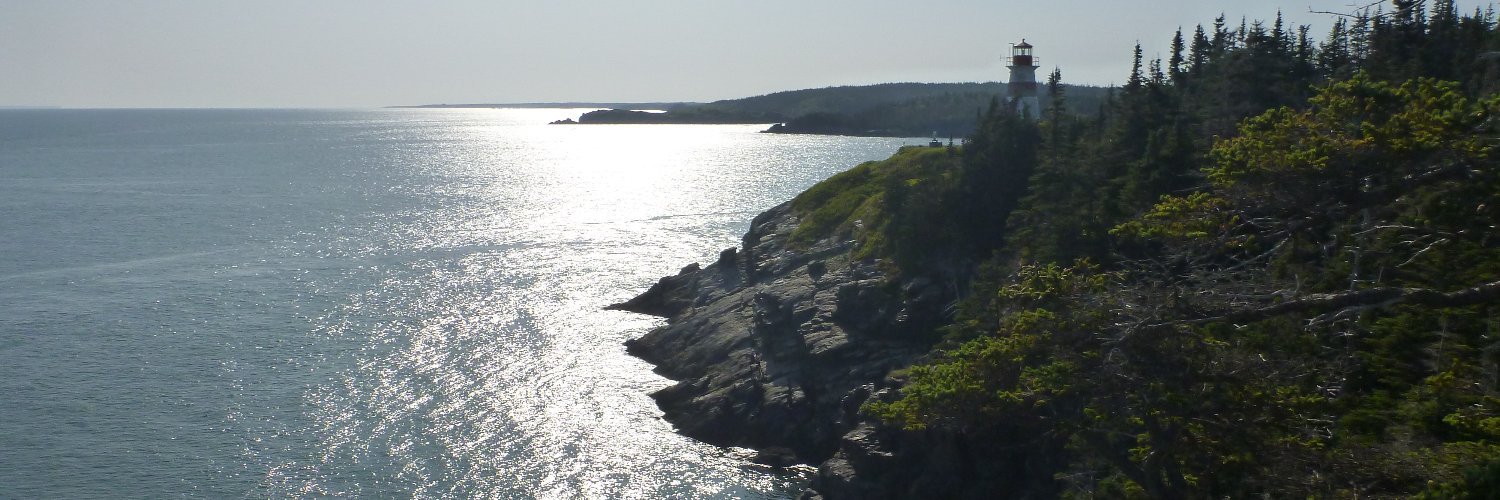 Christine Leeman banner