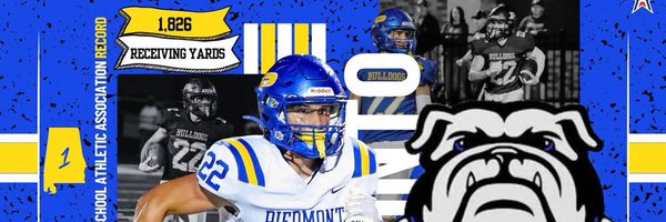 RolliePinto Profile Banner