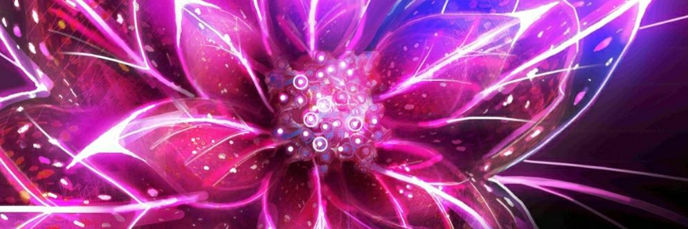 roxane_flowers's profile banner image