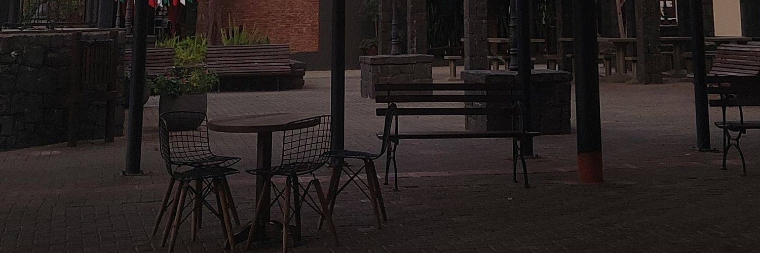 leilarete's profile banner image