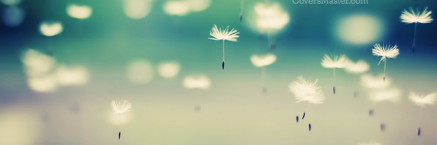 ruqayyahp's profile banner image
