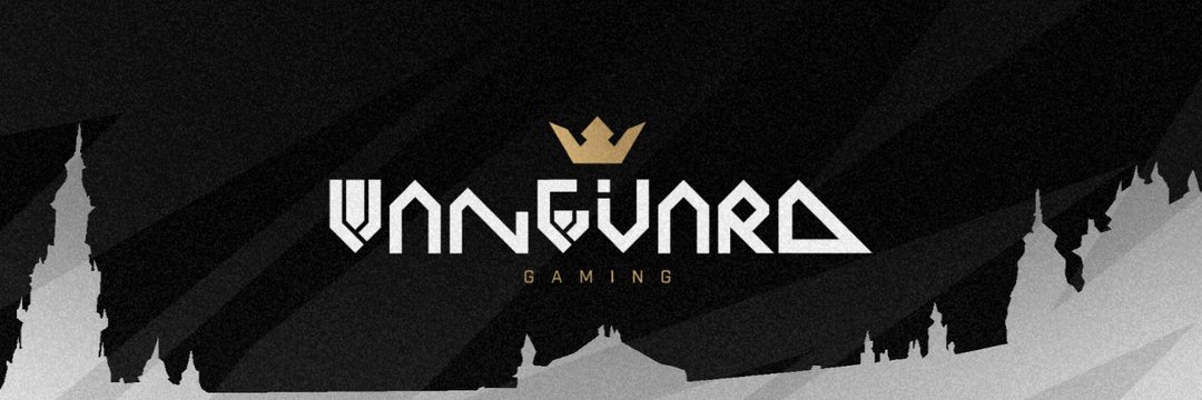 Vanguard BS - VnG banner