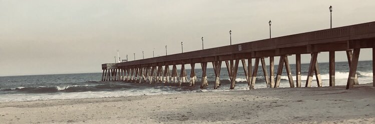 taylor_shears's profile banner image