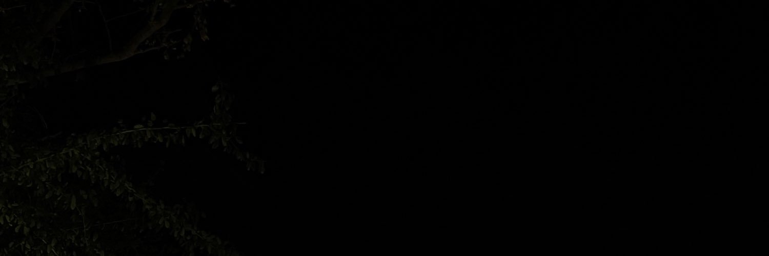 _anii6's profile banner image