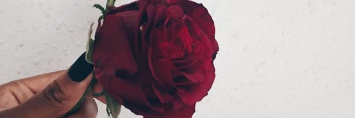 Tracyperfidia's profile banner image