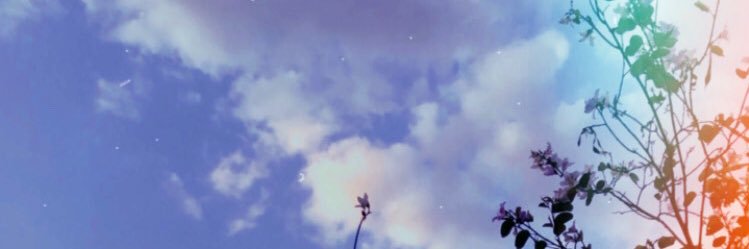 f_ricarte's profile banner image