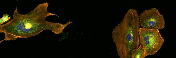 SallyPrior3 Profile Banner