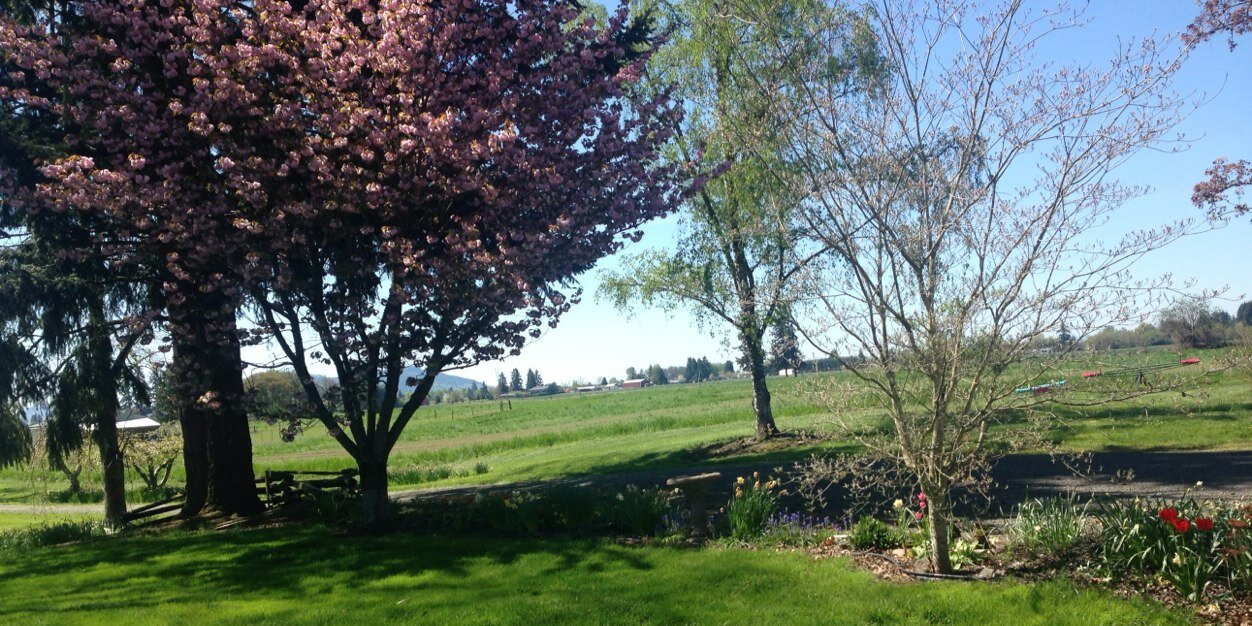 OregonMormon's profile banner image