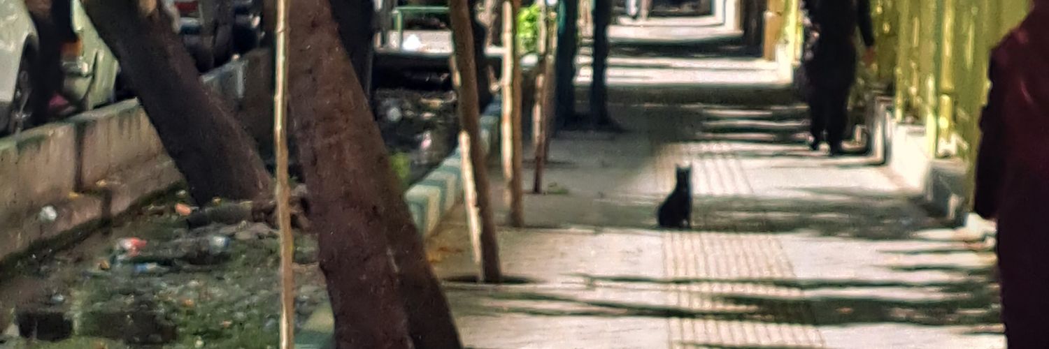 𝘦𝘹𝘱𝘦𝘤𝘵𝘰 𝘱𝘢𝘵𝘳𝘰𝘯𝘶𝘮. banner