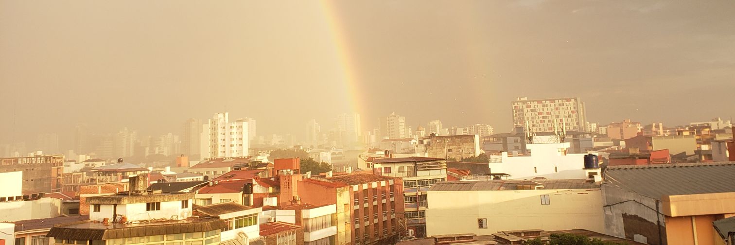 Constance Harrell Shreckengost, MD, PhD banner