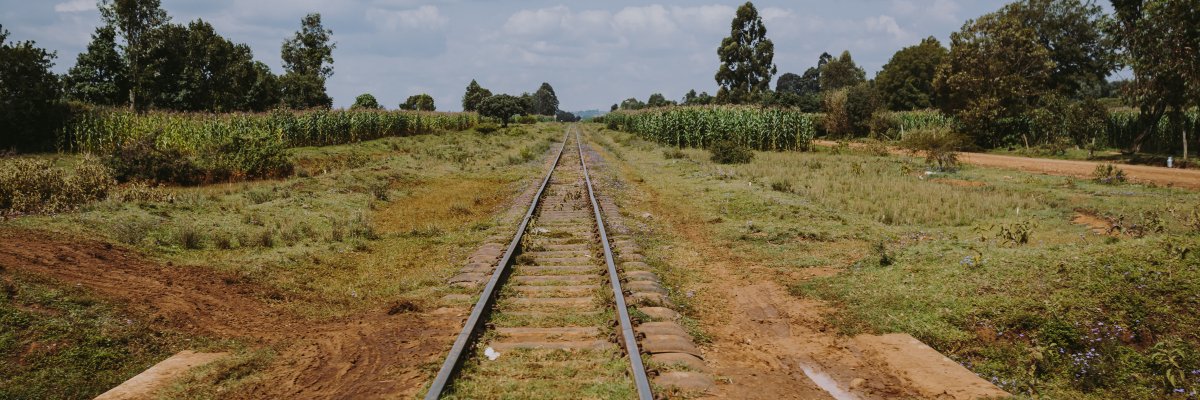 Kara Moskowitz banner