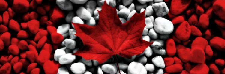 YayUs12's profile banner image