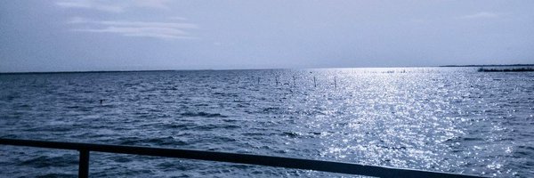 Joe_self_phu Profile Banner