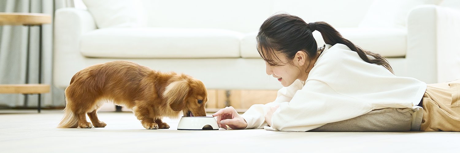 【公式】アニコム | ペット保険（だけじゃない） banner