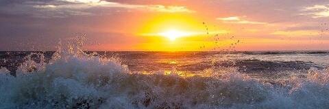 Cindy Sullivan banner