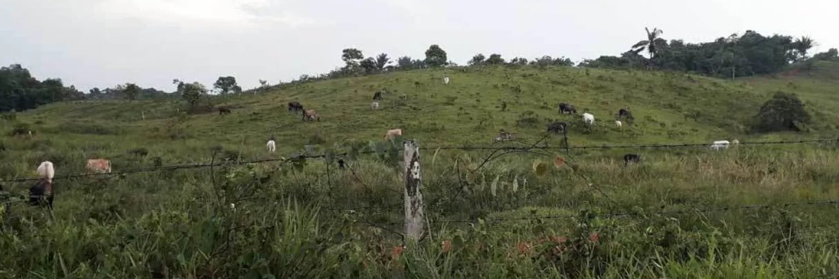 Isaac 🇻🇦 banner