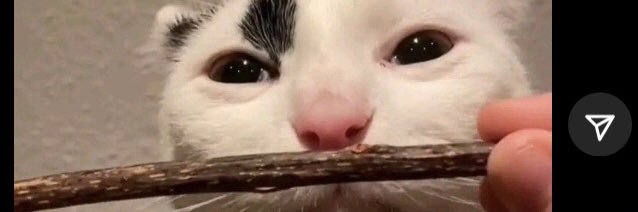meepDmoop's profile banner image