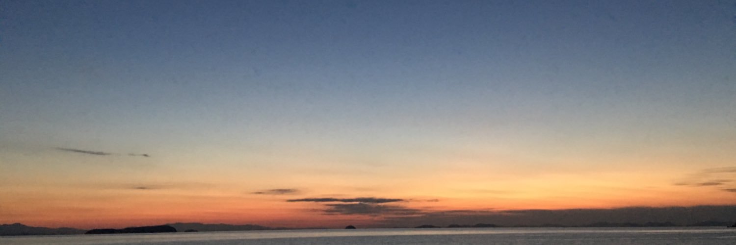 weapopon's profile banner image