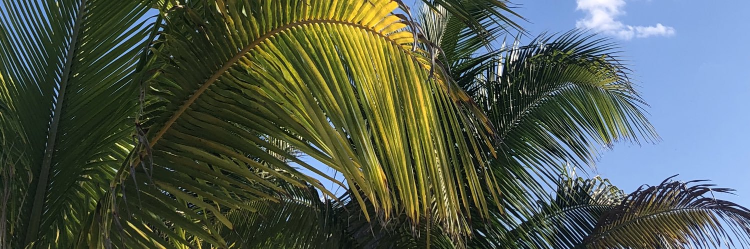 RaulBolio's profile banner image
