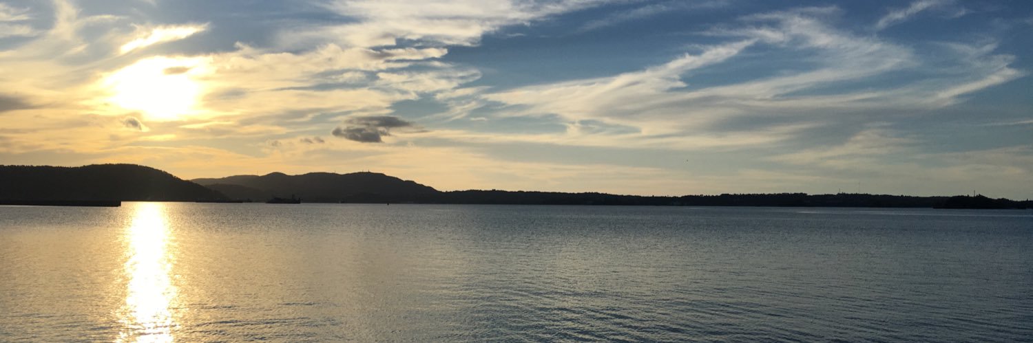 ohasinon's profile banner image