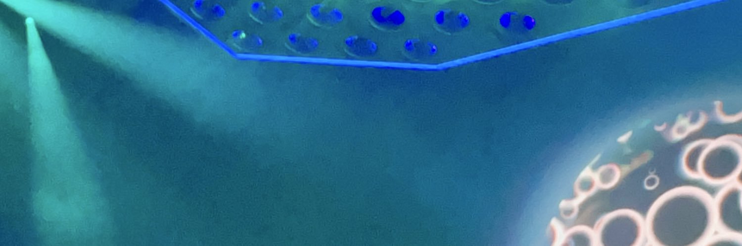 goneberserk's profile banner image