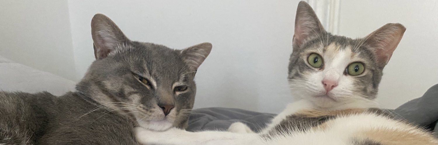 thatwonbitch's profile banner image