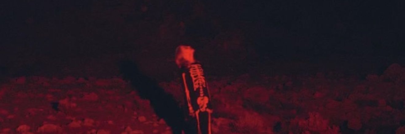 vic vaporub banner