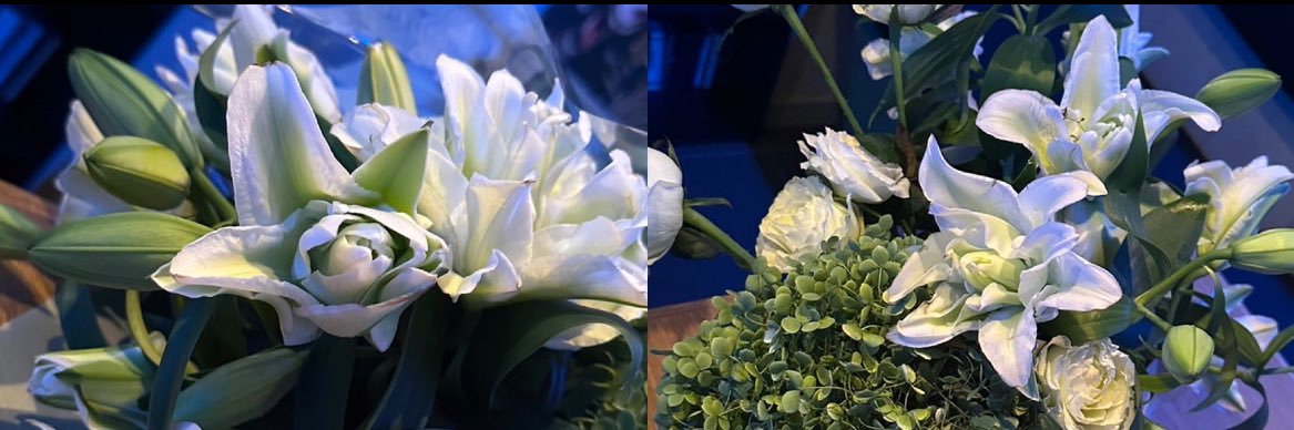 Flowershop toitoitoi! banner