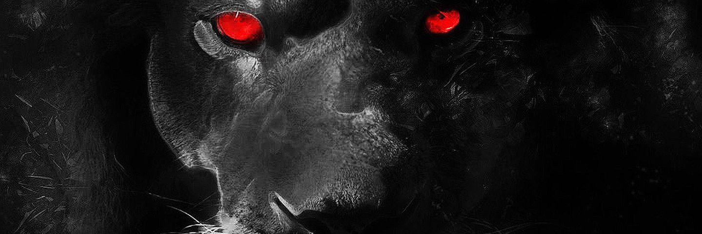 MartinMagnitski's profile banner image