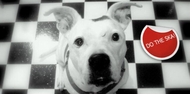 HEADMAN父SKA banner