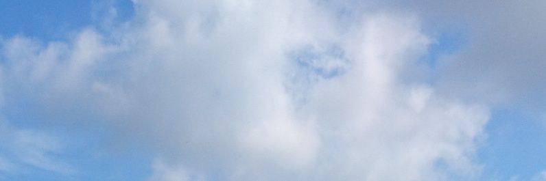 monononooon's profile banner image