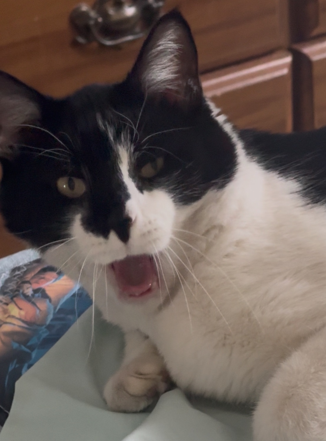 Jaime Roberts banner