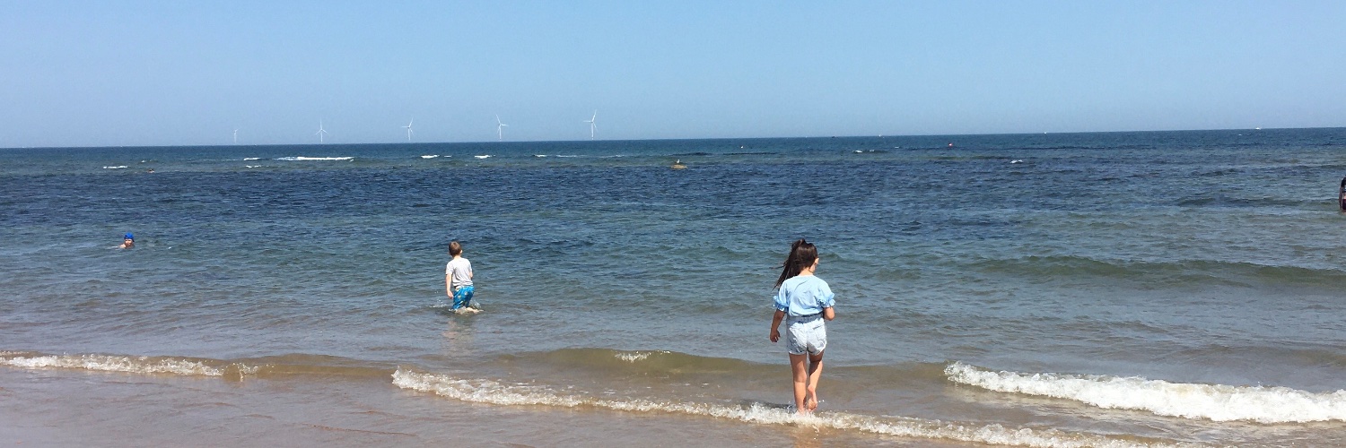 Lindsey Fagan banner