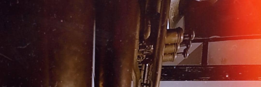 Gabriela Ponce banner