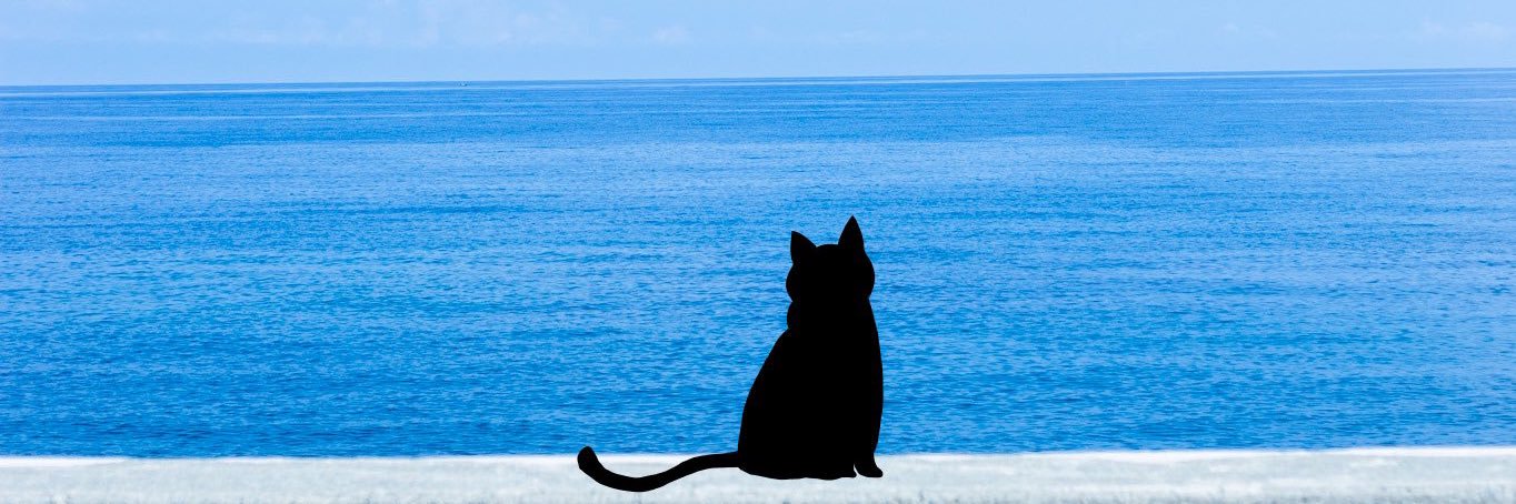 黑貓🐈‍⬛ banner