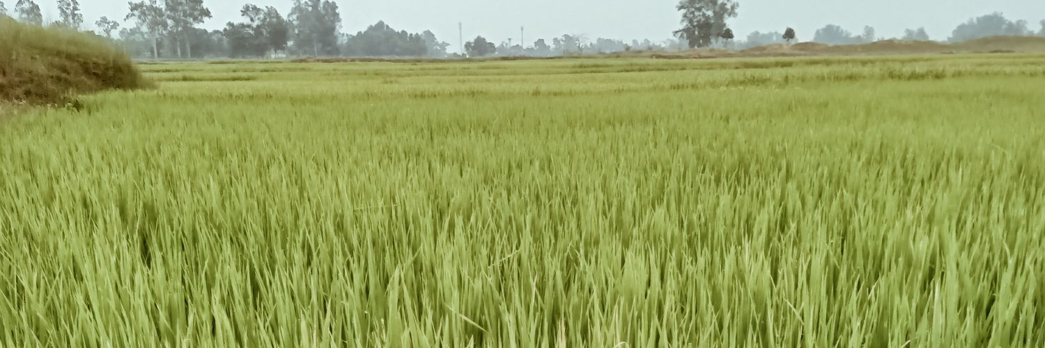 M_R_A786's profile banner image