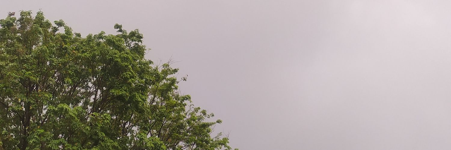 Ucaaaayyy's profile banner image