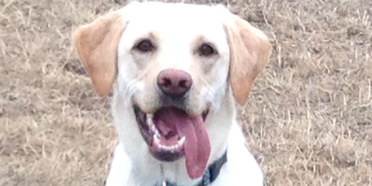 dafinstad's profile banner image