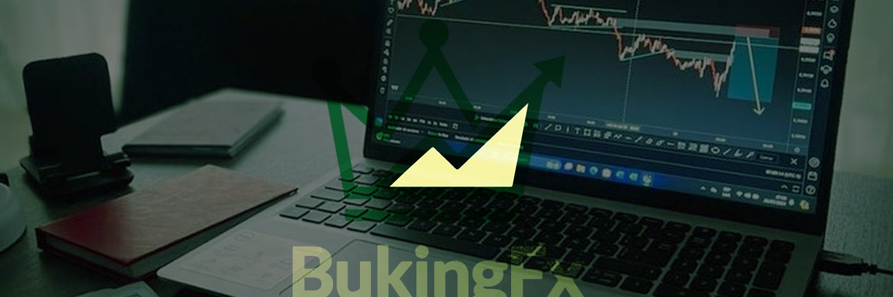 BukingFX's profile banner image