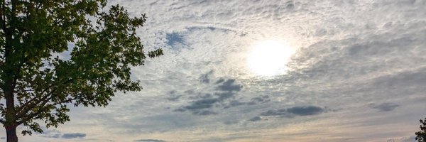 nrehwaldt Profile Banner