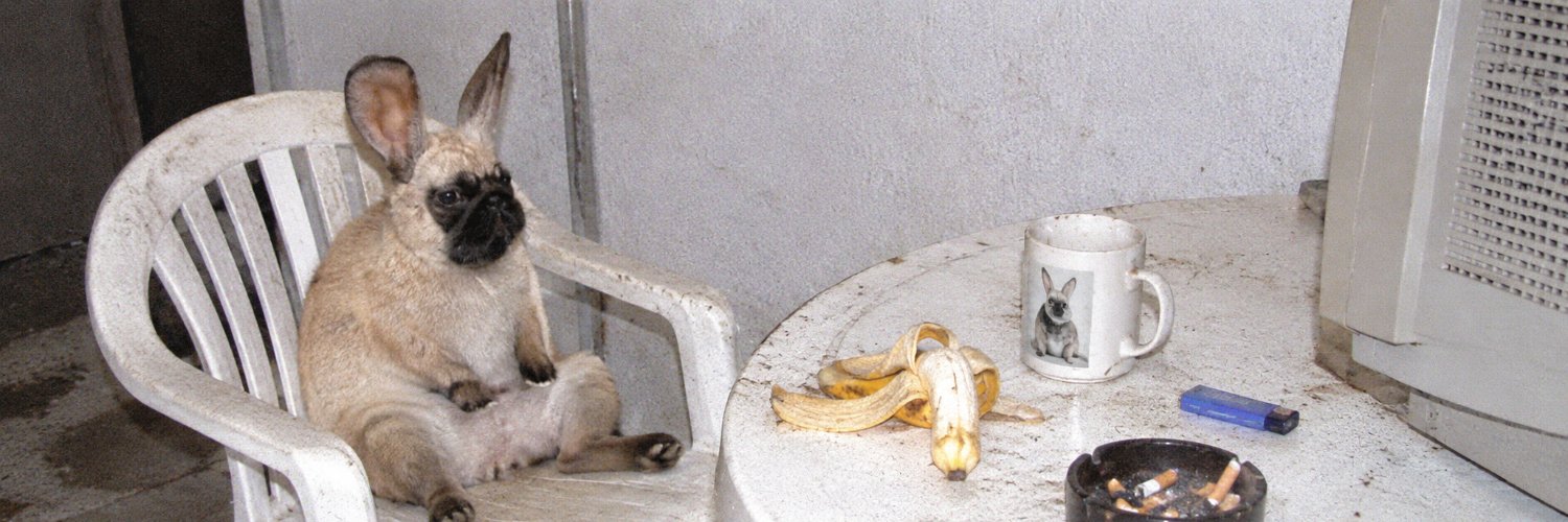 SocksBananas's profile banner image
