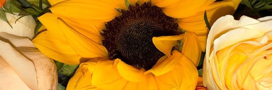 ❀ꗥ～ꗥ❀ 𝐒𝐨𝐫𝐫𝐲 𝐇𝐞𝐚𝐫𝐭 ❀ꗥ～ꗥ❀ banner