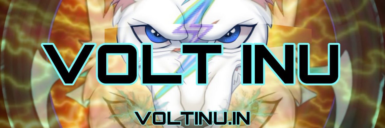 VoltInuOffical's profile banner image