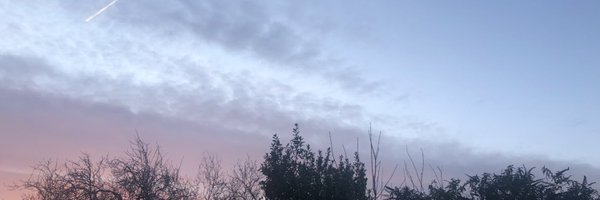 vanillatea19 Profile Banner