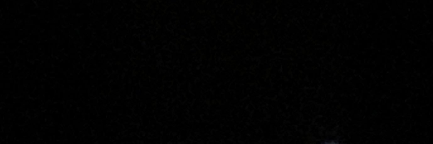 ravle banner
