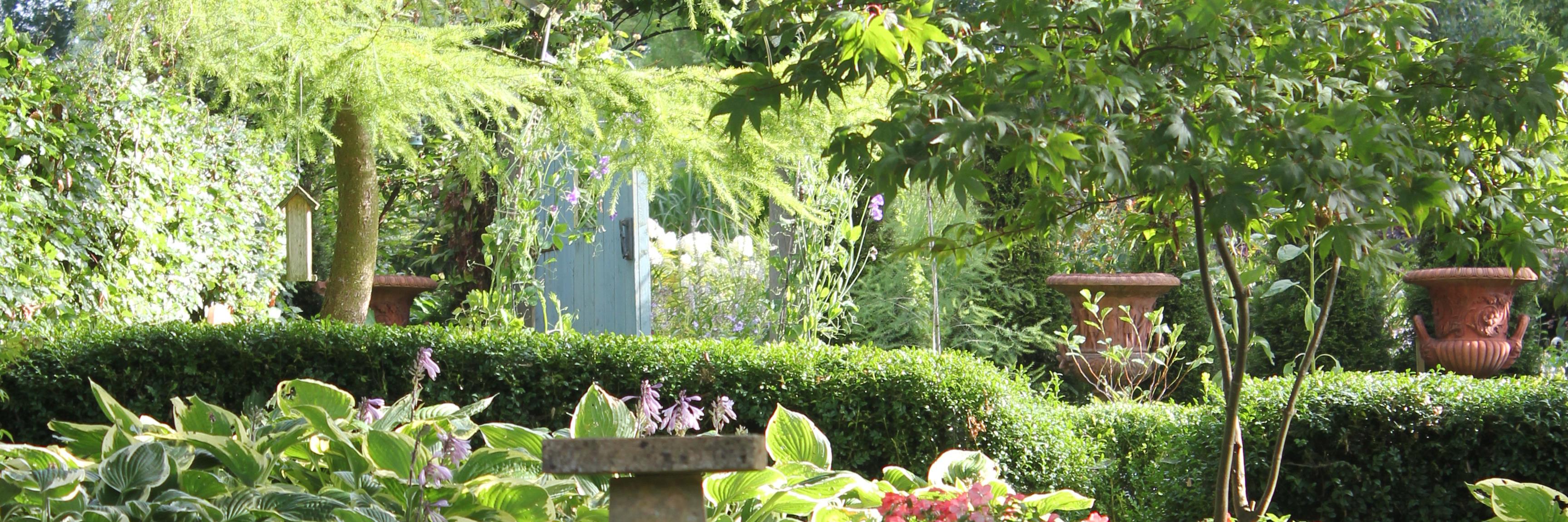 1_chapin's profile banner image