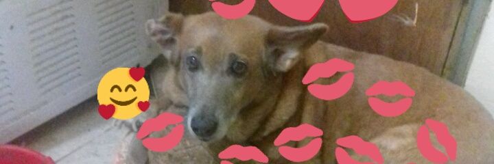 Nathalia_bfc's profile banner image