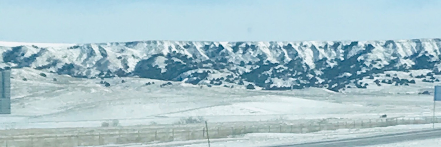 Nes banner