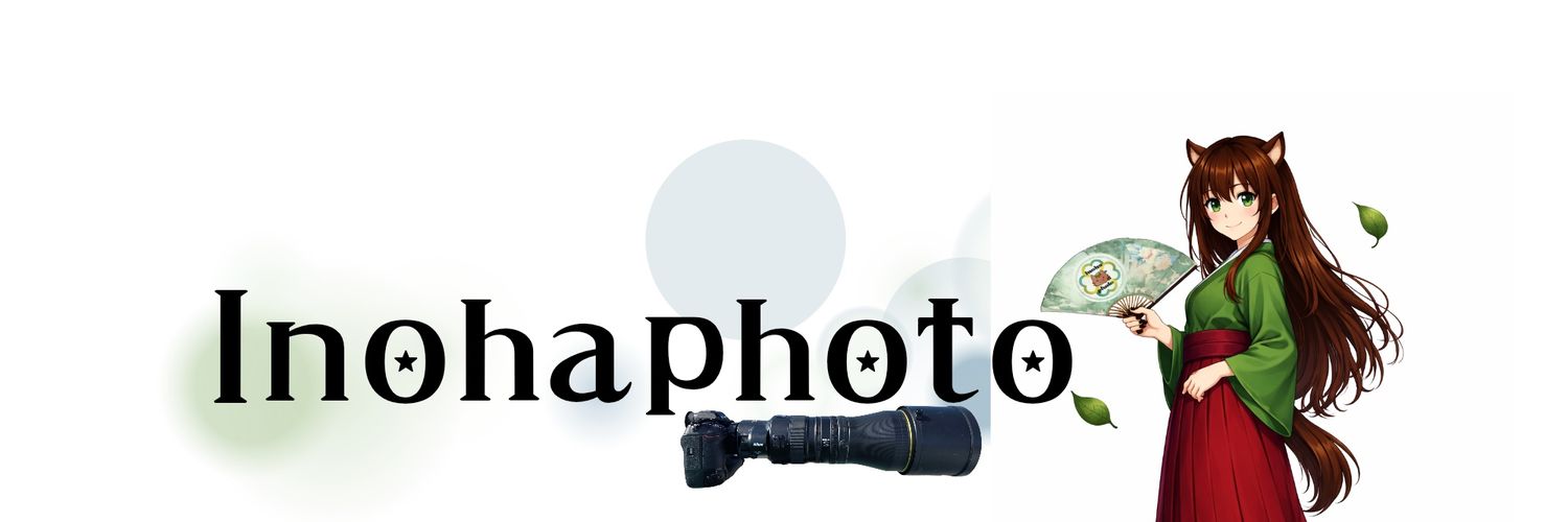 inohaphoto🍀【イノハ🍀* ゚】· banner
