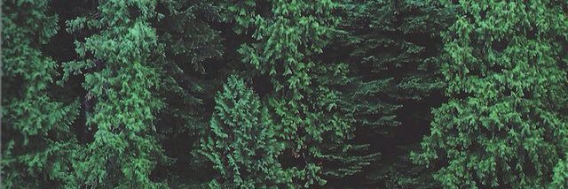ostentatious325's profile banner image